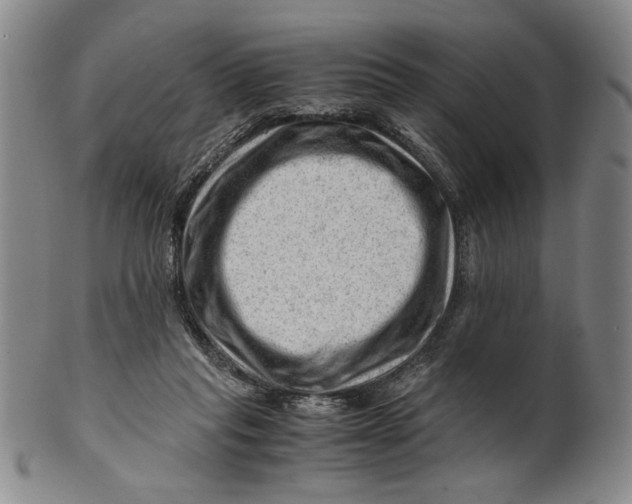 X0000101960261200808081535