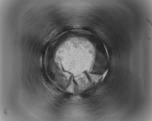 X0000101960262200808081535