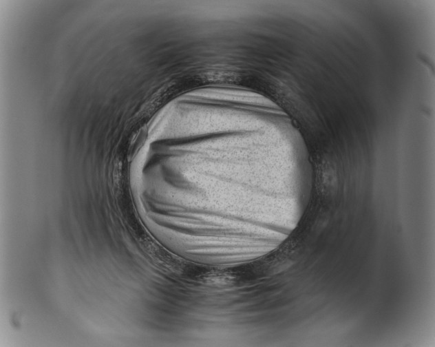 X0000101960263200808081535
