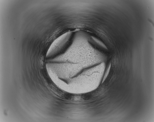 X0000101960264200808081535