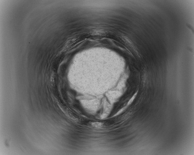 X0000101960265200808081535