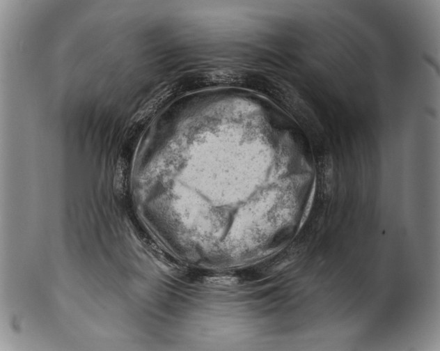 X0000101960266200808081535