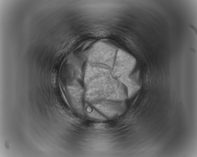 X0000101960268200808081535
