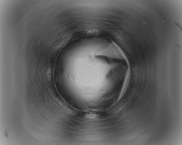 X0000101960269200808081535