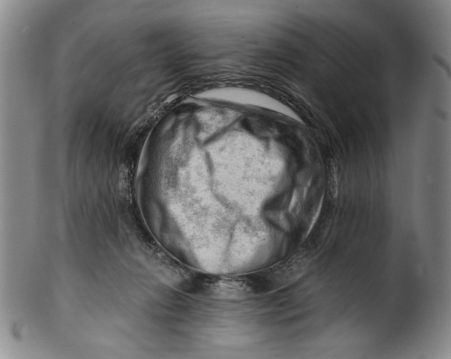 X0000101960270200808081535
