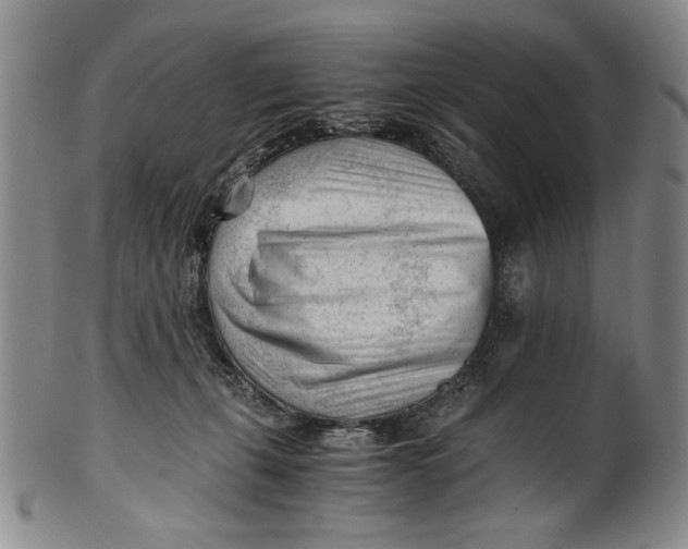 X0000101960271200808081535
