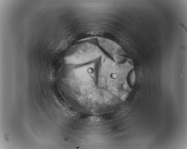 X0000101960272200808081535