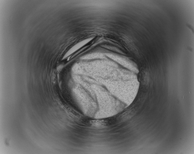 X0000101960273200808081535