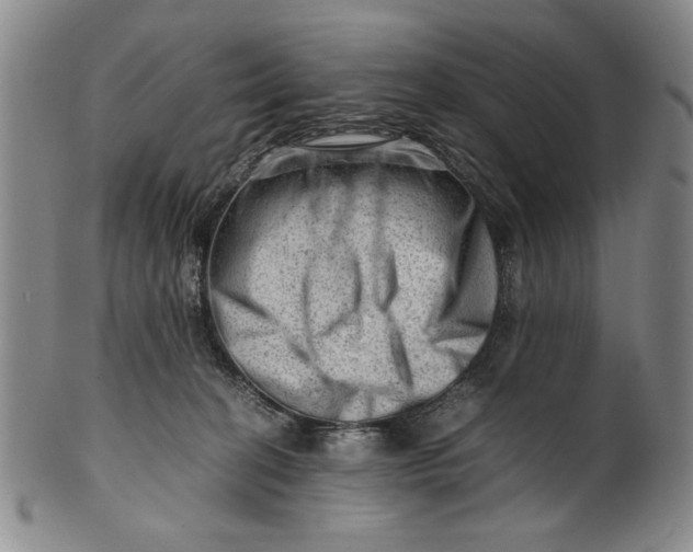 X0000101960274200808081535