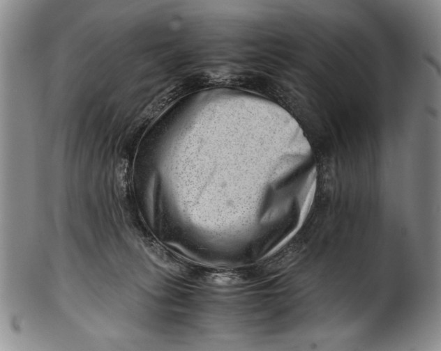 X0000101960275200808081535