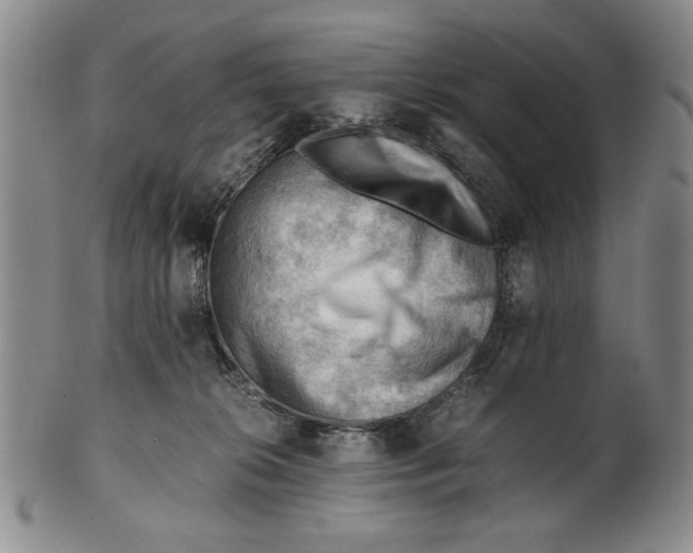X0000101960276200808081535