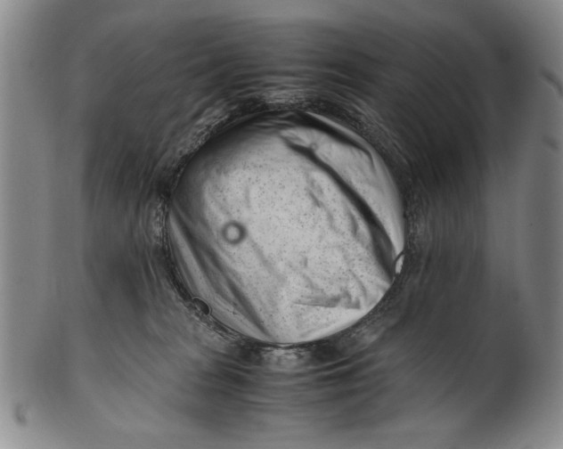 X0000101960277200808081535