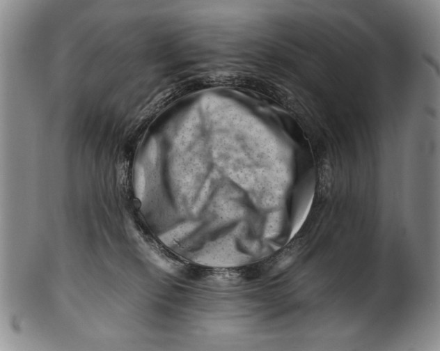 X0000101960278200808081535