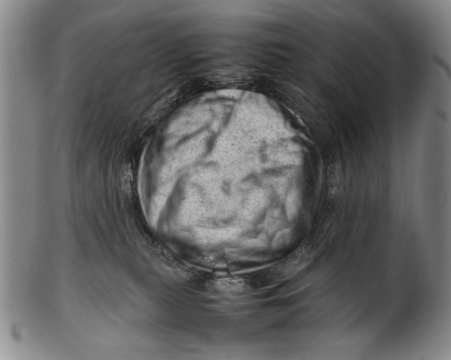 X0000101960279200808081535