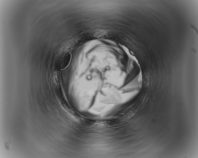 X0000101960280200808081535