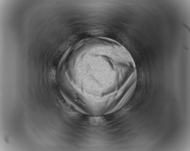 X0000101960281200808081535