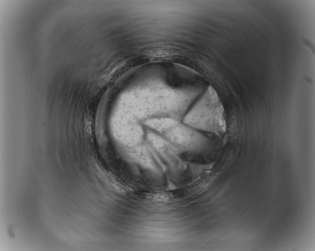 X0000101960282200808081535