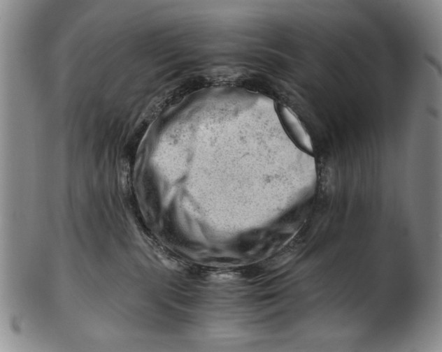 X0000101960283200808081535