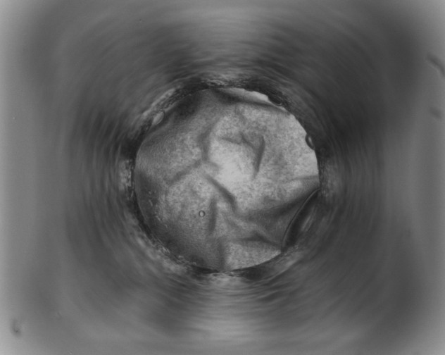 X0000101960284200808081535