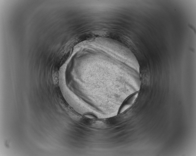 X0000101960285200808081535