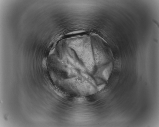 X0000101960286200808081535