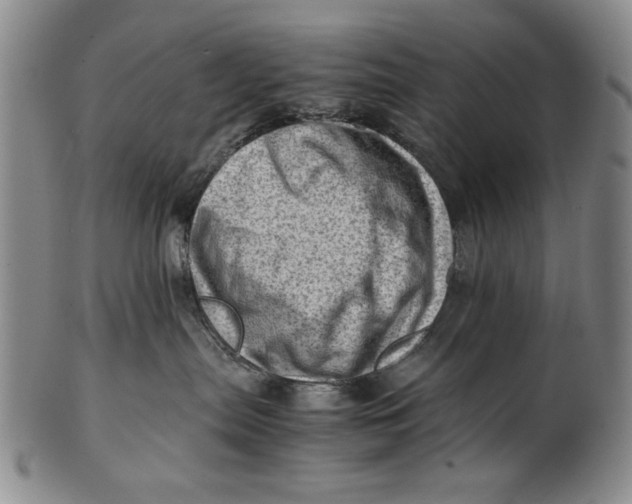 X0000101960287200808081535