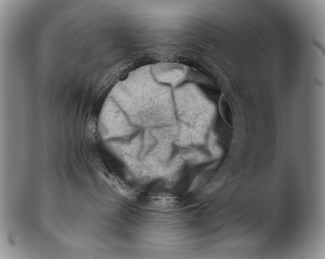 X0000101960288200808081535