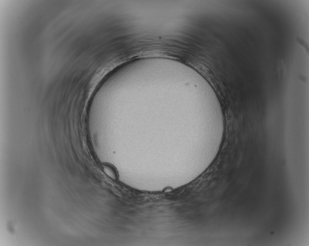 X0000101960289200808081534