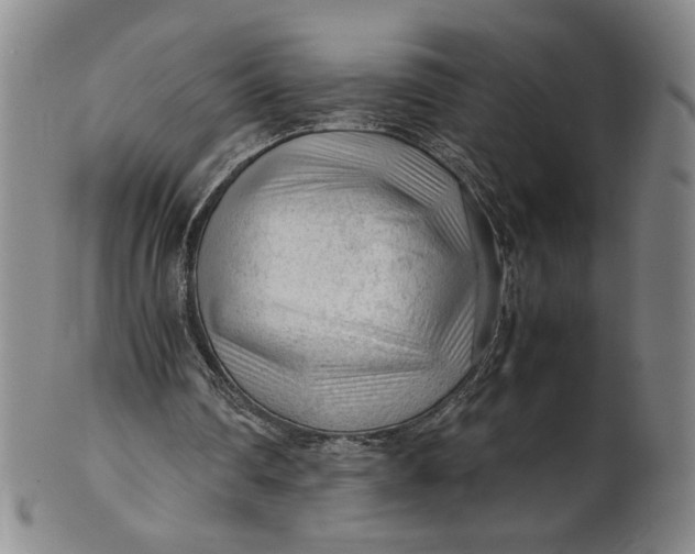 X0000101960290200808081534