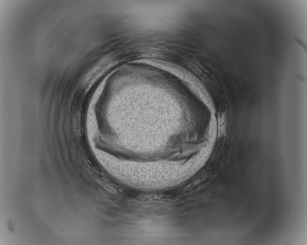 X0000101960291200808081534