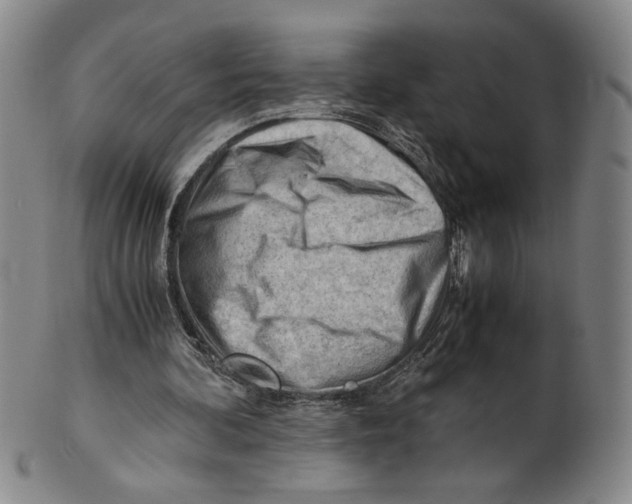 X0000101960292200808081534