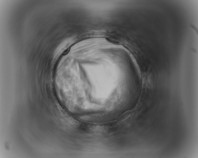 X0000101960293200808081534