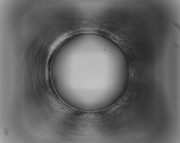 X0000101960294200808081534