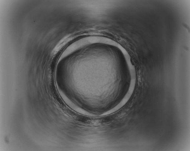 X0000101960295200808081534