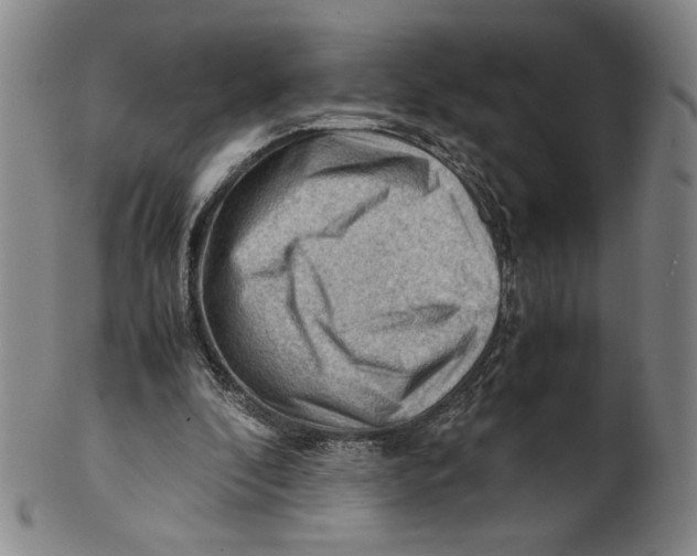 X0000101960296200808081534