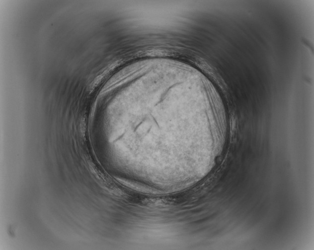 X0000101960297200808081534