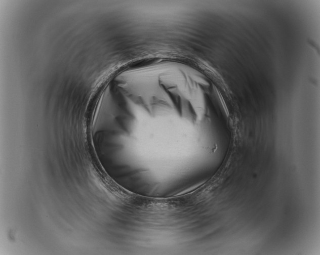 X0000101960298200808081534
