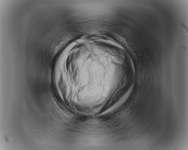 X0000101960299200808081534