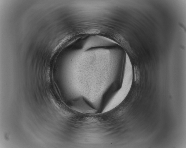 X0000101960300200808081534