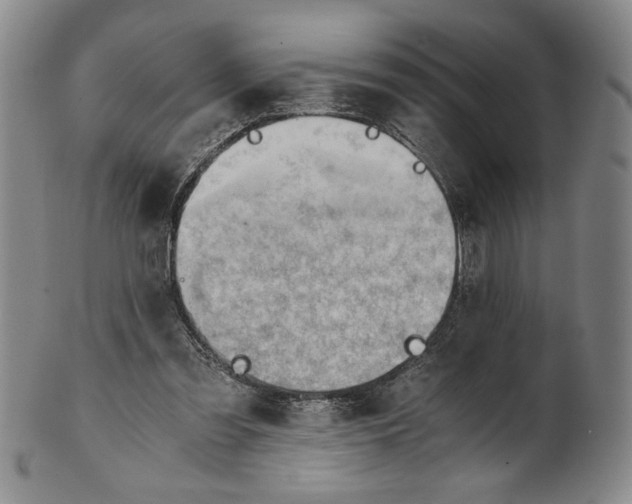 X0000101960301200808081534