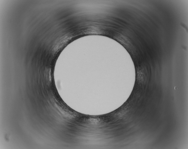 X0000101960302200808081534