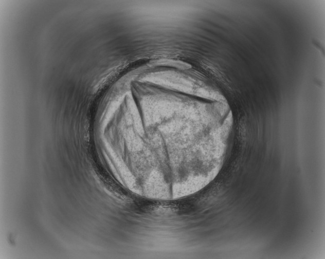 X0000101960303200808081534