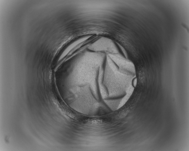 X0000101960304200808081534