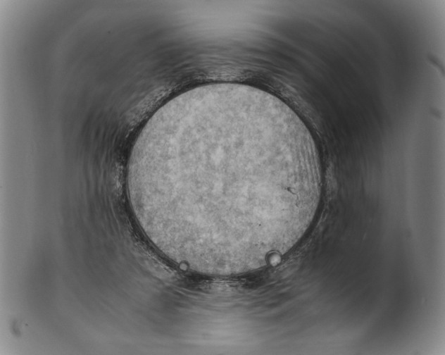 X0000101960305200808081534