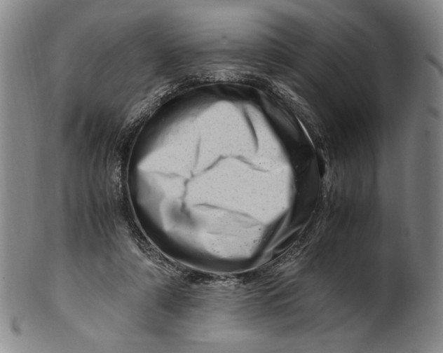 X0000101960306200808081534