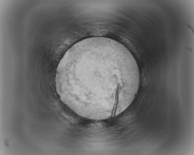 X0000101960307200808081534