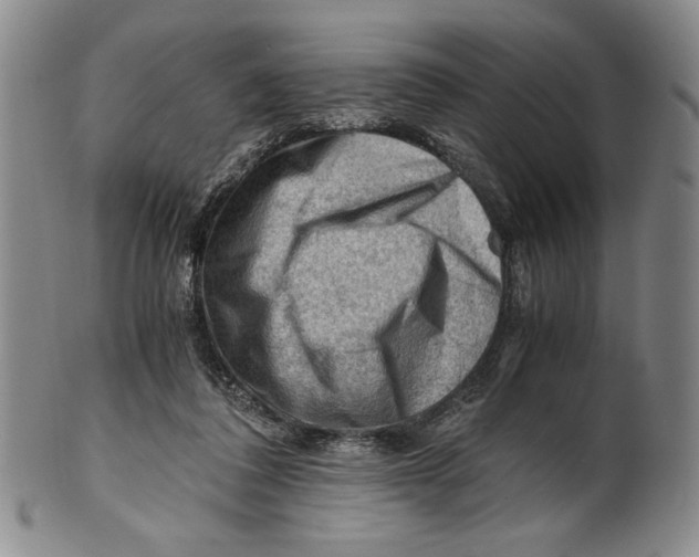 X0000101960308200808081534