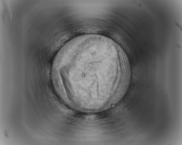 X0000101960309200808081534