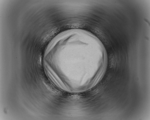 X0000101960310200808081534