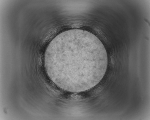 X0000101960311200808081534